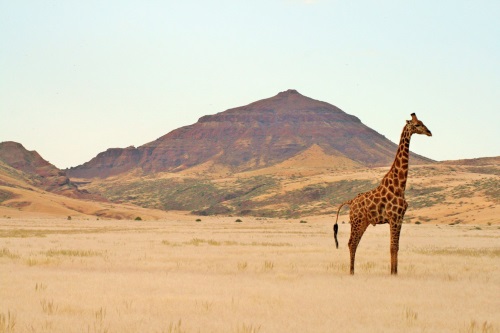 Khowarib Lodge lokale bevolking omgeving